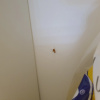 https://cdn.worldota.net/t/100x100/hotel_review/67/a2/67a230f6a4eb1a733900ebc4899e93c9d371d3eb.JPEG