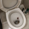 https://cdn.worldota.net/t/100x100/hotel_review/67/d6/67d661c53bfcf0eda2006e1404ddb7093d0cf209.JPEG