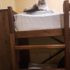 https://cdn.worldota.net/t/100x100/hotel_review/69/54/69544e2cbf3ce5f4b17ed19635d9480f3d40d783.JPEG