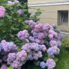 https://cdn.worldota.net/t/{size}/hotel_review/69/76/69761eed0a11bdaf6d9c63af6d9f681d294a7d0d.JPEG