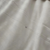 https://cdn.worldota.net/t/{size}/hotel_review/6a/49/6a49a92d1802407bbdffcec379ef688a35cddf59.JPEG
