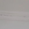 https://cdn.worldota.net/t/{size}/hotel_review/6a/d3/6ad31657b2137b7064dedec3d3cdbd9c356a233d.JPEG