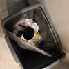 https://cdn.worldota.net/t/100x100/hotel_review/6a/f7/6af7d3e513d14a11417dee27167bf03b2a5f7b8b.JPEG