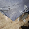 https://cdn.worldota.net/t/100x100/hotel_review/6b/15/6b157d385b61498416bcc61e8b7d2f37370cb31b.JPEG