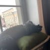 https://cdn.worldota.net/t/100x100/hotel_review/6b/2f/6b2f2e84b09ddd61e7bfb15cff3f599a95898fa9.JPEG