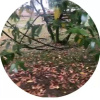 https://cdn.worldota.net/t/100x100/hotel_review/6b/39/6b393b4c99576d098df877b84c1f7eb67cdad6d1.JPEG
