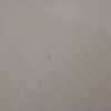 https://cdn.worldota.net/t/100x100/hotel_review/6b/68/6b68b6f4955cc79d898996b1d506111d654d866d.JPEG