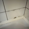 https://cdn.worldota.net/t/100x100/hotel_review/6c/7a/6c7aefaca4b4321f34adb5e4720ecadadef480ee.JPEG