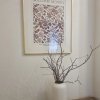 https://cdn.worldota.net/t/100x100/hotel_review/6d/22/6d229c652f417a6cfb5223f3ab2e8e9e197cc517.JPEG