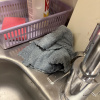 https://cdn.worldota.net/t/100x100/hotel_review/6d/39/6d3986f7b35050612ade84ca94dd9e6425743e38.JPEG