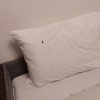 https://cdn.worldota.net/t/100x100/hotel_review/6d/43/6d43b1c41cd7858624554bfdcb7b5681fe6a13f7.PNG