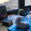 https://cdn.worldota.net/t/100x100/hotel_review/6d/d6/6dd6f494695a83894c0a48357150461d43324c1c.JPEG