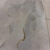 https://cdn.worldota.net/t/100x100/hotel_review/6e/37/6e378d730450a0ea7ddef2b53ac73aeda45f4891.JPEG