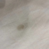 https://cdn.worldota.net/t/100x100/hotel_review/6e/65/6e6544c5a51e8864977c9a567108728d8f152952.JPEG