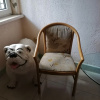 https://cdn.worldota.net/t/100x100/hotel_review/6e/a6/6ea6b3c745aa08412e85cd0666126d1375609e7c.JPEG