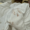 https://cdn.worldota.net/t/100x100/hotel_review/6e/d0/6ed04b9b8b7af237d513f82103c34117657df22c.JPEG