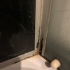 https://cdn.worldota.net/t/100x100/hotel_review/6e/ee/6eee18485276b46f7343b2c95968db28e10fe69f.JPEG