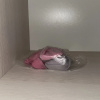https://cdn.worldota.net/t/{size}/hotel_review/6e/f4/6ef464c23cc842874826e2c1232e12415b08bc9c.JPEG