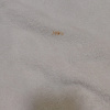 https://cdn.worldota.net/t/100x100/hotel_review/6f/34/6f349aa6dbfd86a7569f0ac548b54a77721b5085.JPEG