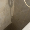 https://cdn.worldota.net/t/{size}/hotel_review/6f/d4/6fd48e46e9a848efe050c758ceb67d1dffa53225.PNG