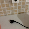 https://cdn.worldota.net/t/100x100/hotel_review/6f/f2/6ff2605acfcbe473ee8c358f49a2b4129191c523.JPEG