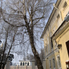 https://cdn.worldota.net/t/100x100/hotel_review/70/cc/70ccb79b2469cb950839b1e564c57384929423d2.JPEG