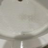 https://cdn.worldota.net/t/{size}/hotel_review/70/d8/70d8779e17359f9b2ae271aaacfd202b060fe6c1.JPEG