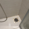 https://cdn.worldota.net/t/{size}/hotel_review/70/ff/70ff8769d25d72c4e3a7a5e26627b103cf34b3b6.JPEG