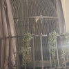 https://cdn.worldota.net/t/100x100/hotel_review/71/bd/71bd46e88a26d84efe71a80a4918274f60dd11ef.JPEG