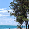 https://cdn.worldota.net/t/100x100/hotel_review/72/77/727723f4a1a2edc895ed786240d9a23d4323dc5f.JPEG