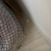 https://cdn.worldota.net/t/100x100/hotel_review/73/16/7316181146e295c196e6004ca5403e2efc854dea.JPEG