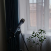 https://cdn.worldota.net/t/100x100/hotel_review/73/7f/737f8e9a6a798e28dfa9e42d26761590006b7a9a.JPEG