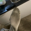 https://cdn.worldota.net/t/100x100/hotel_review/73/c6/73c66a39afba216452624254ad782fe46103faca.JPEG