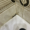 https://cdn.worldota.net/t/100x100/hotel_review/73/c9/73c96d57909de916c2cc93dca794a02663ed07ca.JPEG