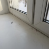 https://cdn.worldota.net/t/100x100/hotel_review/74/31/7431e42ae5443a636e6474524c25c328ecc457e3.JPEG