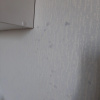 https://cdn.worldota.net/t/{size}/hotel_review/74/af/74af8e7682c5624fc878c1748381480e52811b39.JPEG