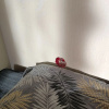 https://cdn.worldota.net/t/100x100/hotel_review/76/0b/760b664d09af83c2e84f7e7243b1c84356c01ed5.PNG