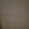 https://cdn.worldota.net/t/100x100/hotel_review/76/1c/761c0b2e5e0b5b9d4a592b91505f78d96669de35.JPEG
