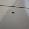 https://cdn.worldota.net/t/100x100/hotel_review/76/cd/76cd191f39a4c49059caed61440bdd986e9cb375.JPEG