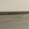 https://cdn.worldota.net/t/{size}/hotel_review/77/59/7759e0b709b0ec14d410e5603a53187420614361.JPEG