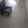 https://cdn.worldota.net/t/100x100/hotel_review/79/0c/790cedea2b702556180cf496df124d90eb6f1138.JPEG