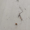 https://cdn.worldota.net/t/{size}/hotel_review/79/49/7949fe97af9d8dd9bd949256737251ef7426d260.JPEG