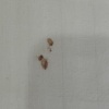 https://cdn.worldota.net/t/{size}/hotel_review/79/d9/79d91f8431f1ffa27864af1dc0d95bf784b35672.jpeg