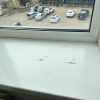 https://cdn.worldota.net/t/100x100/hotel_review/7a/a7/7aa7ae3f2cb22feaa9a608e3df00ce11a8c0317a.JPEG