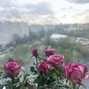 https://cdn.worldota.net/t/100x100/hotel_review/7a/ae/7aae0ee91a97519ad7ecddf0799a15937f9e7044.JPEG