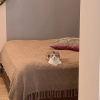 https://cdn.worldota.net/t/100x100/hotel_review/7b/3f/7b3fb0057a01ac636942e80a1c887a8e0f4ebb02.JPEG