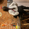 https://cdn.worldota.net/t/{size}/hotel_review/7c/87/7c8741388cbb3a07687e55b76dd155a3bb7aab89.JPEG