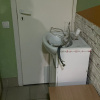 https://cdn.worldota.net/t/100x100/hotel_review/7c/93/7c93af867120a3978d0b843057d28f157592a25f.JPEG