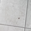 https://cdn.worldota.net/t/100x100/hotel_review/7e/11/7e1126e7b2cfb8d72f7a1a09f73c9e240bc8aa91.JPEG