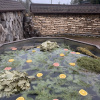 https://cdn.worldota.net/t/100x100/hotel_review/7e/47/7e476684c6a0a38986434f35f011081f80088ab1.JPEG